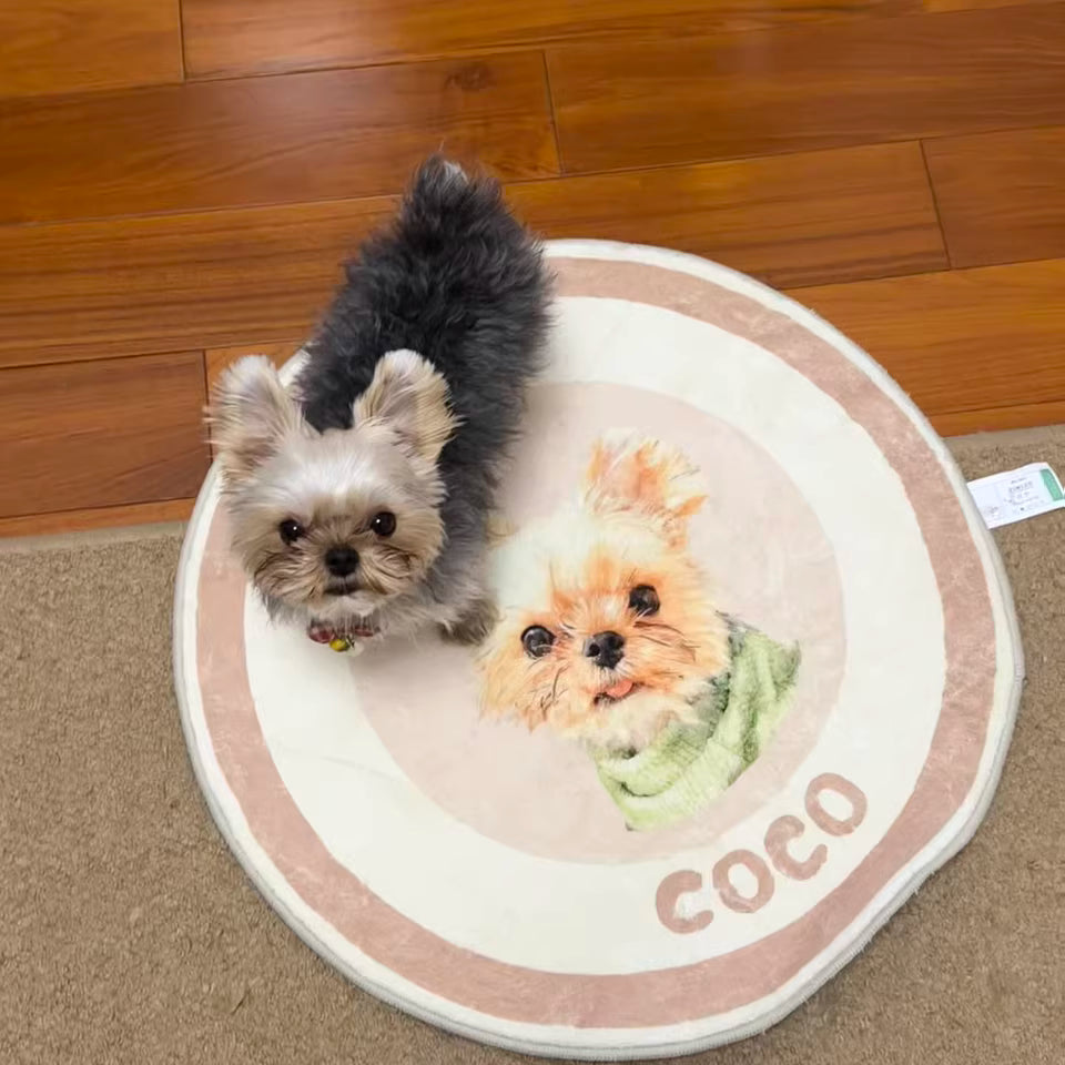Custom Pet Portrait Rug