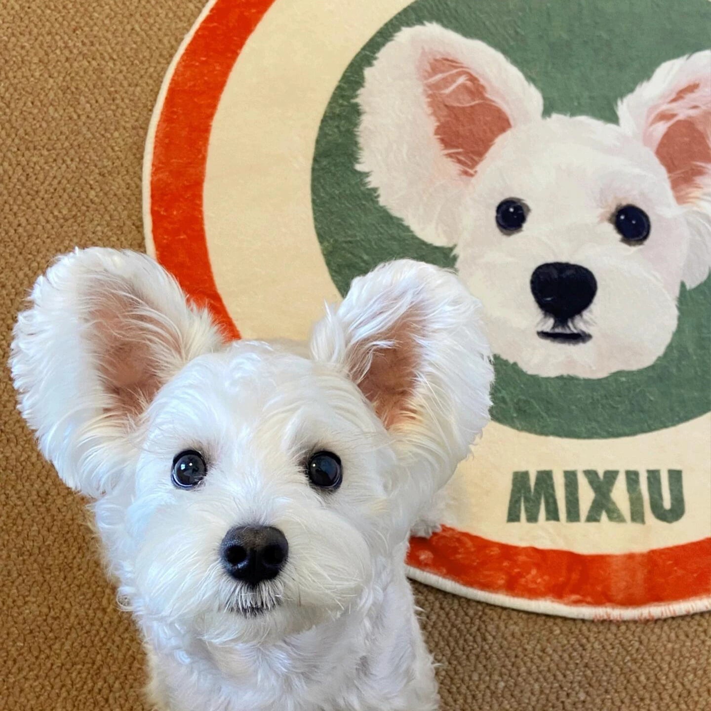 Custom Pet Portrait Rug